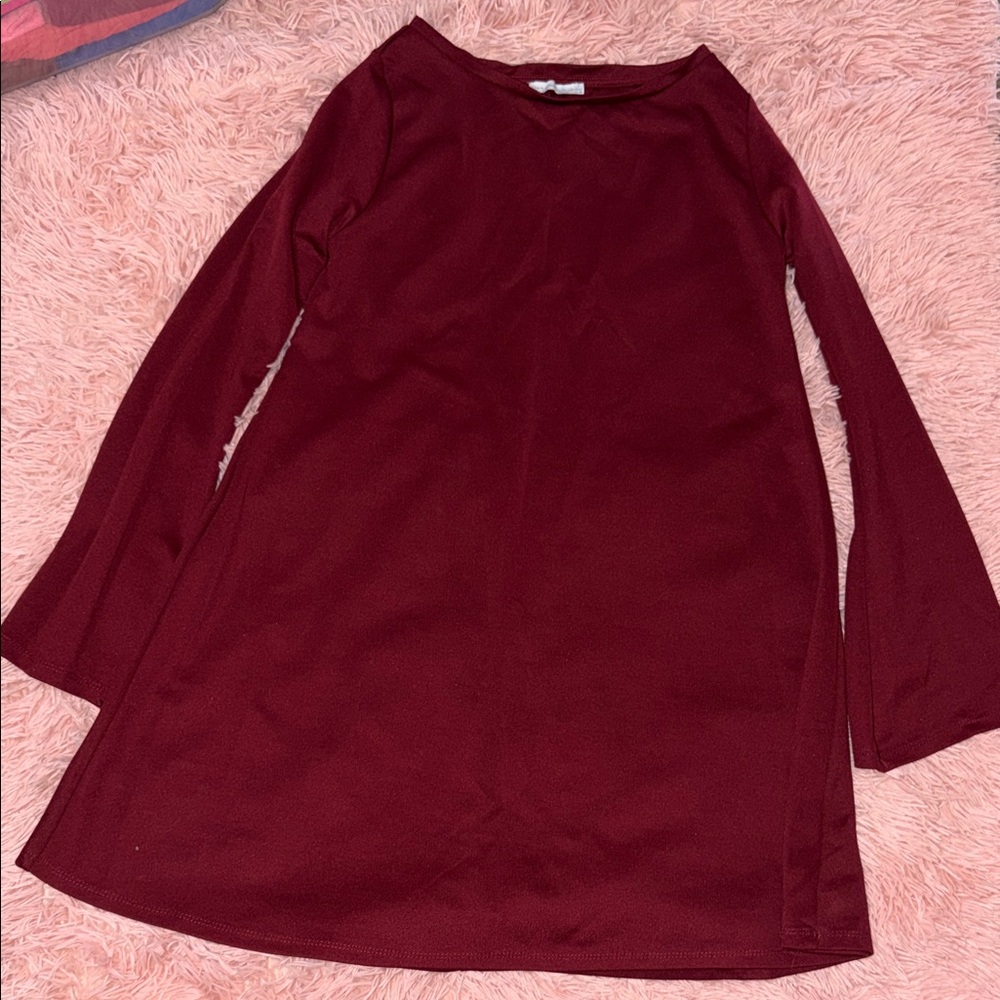 Zara Wine Red Long-Sleeve Mini Dress